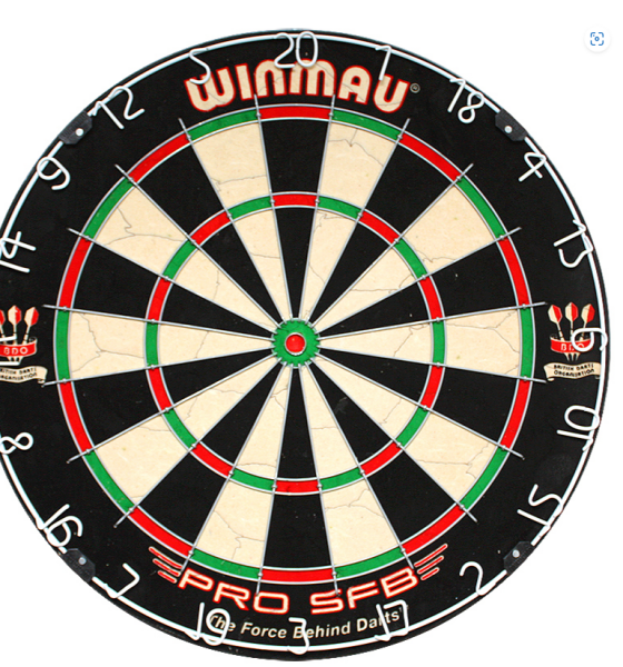 SHOT Michael Smith Competition Dartboard